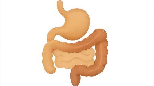 Gastrointestinal Tract Imaging