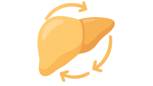 Integration of metabolic pathways