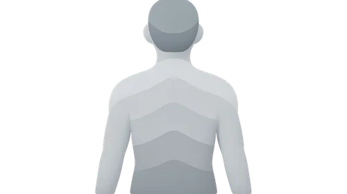Cervical dermatomes and myotomes