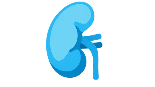 Metabolic acidosis mechanisms and compensation