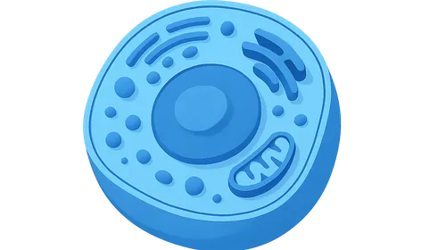 Cell structure and organelles