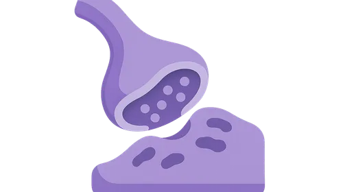 Neuromuscular Junction Diseases