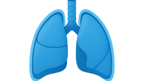 Pleura and Lungs