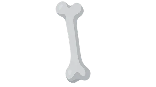 Basic Science in Orthopaedics