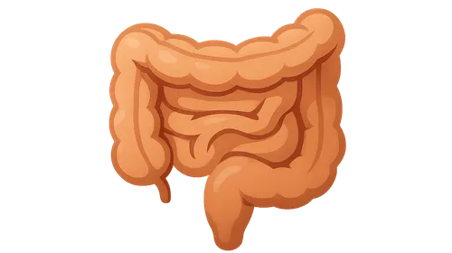 Ileus and bowel dysfunction