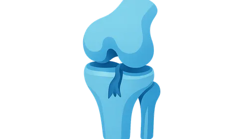 Knee Ligament Injuries