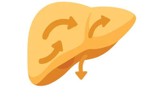 Metabolic Integration