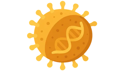 RNA Viruses: Paramyxoviruses