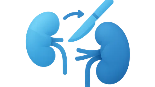 Kidney transplantation