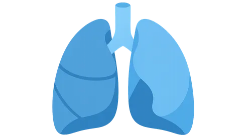 Pulmonary volumes and capacities
