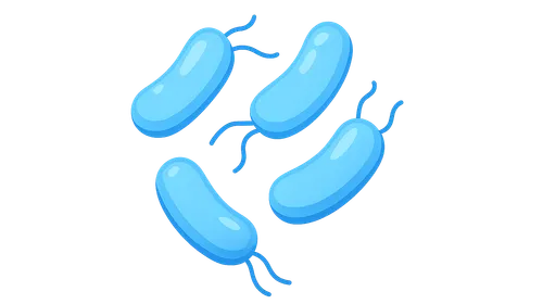 Waterborne bacterial pathogens