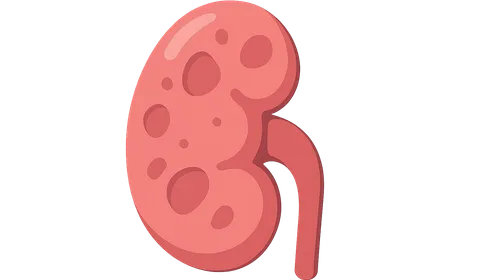 Renal Pathology