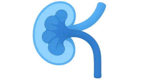 Renal Blood Flow and Glomerular Filtration
