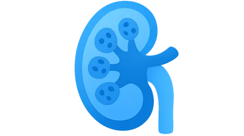 Nephrotic syndrome disorders