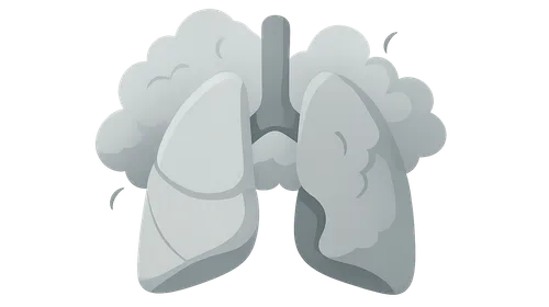 Air Pollution and Health Effects