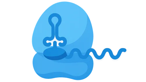 Translation initiation