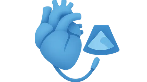 Transesophageal Echocardiography