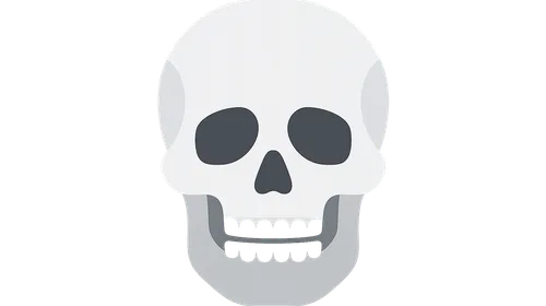 Disaster Victim Identification