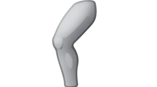 Thigh and Popliteal Fossa