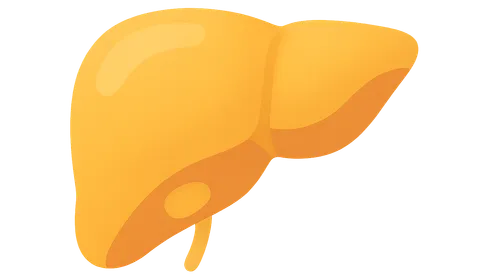 Fasting State Metabolism