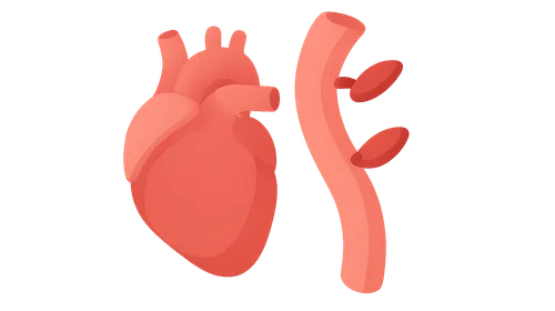 Baroreceptor reflexes