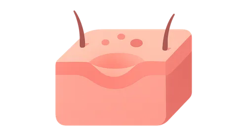 Resolution of Inflammation