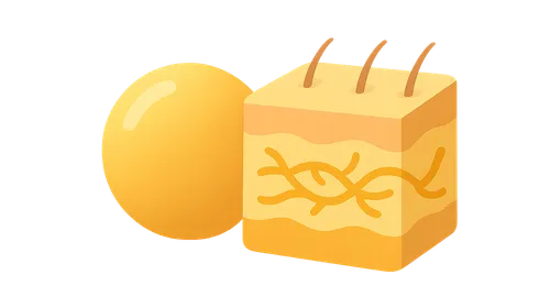 Vitamin C and Collagen Synthesis