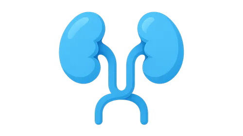 Congenital renal anomalies
