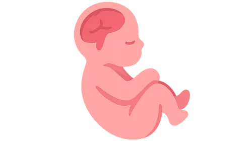 Congenital Anomalies