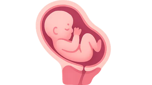 Vaginal Birth After Cesarean