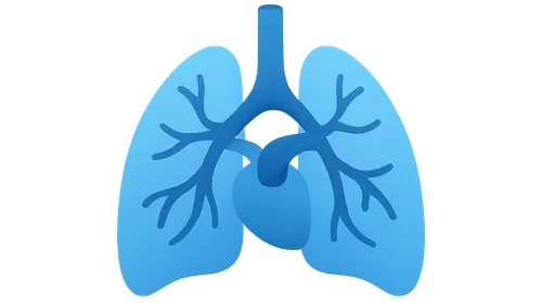 Pulmonary Circulation