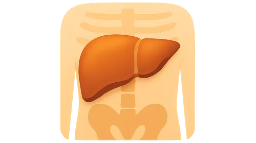 Imaging of Liver