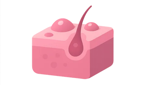 Antiacne Medications