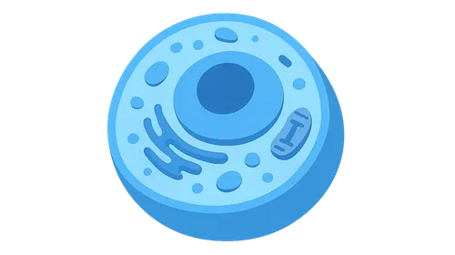 Cell Structure and Function