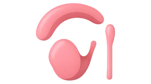 Third pharyngeal arch derivatives