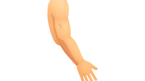 Upper limb surface landmarks
