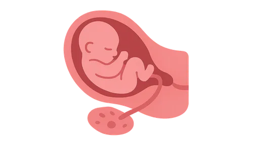 Third stage of labor