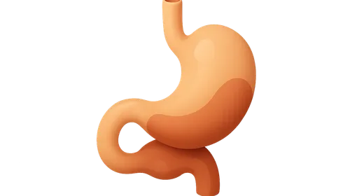 Foregut development and derivatives