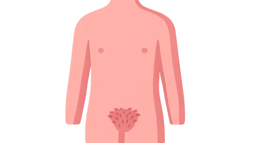 Puberty stages (Tanner stages)