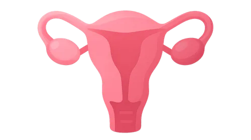 Principles of Gynecologic Oncology Surgery