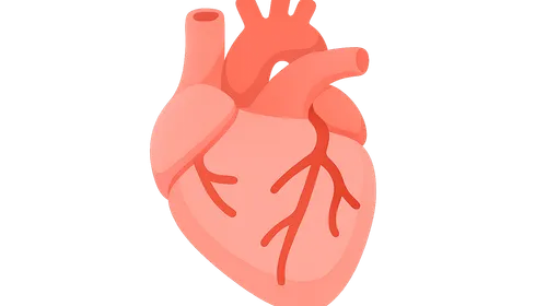 Coronary artery bypass grafting indications