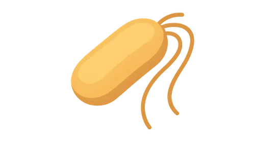 Pseudomonas and Related Bacteria