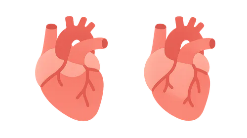 Classification of heart failure (HFrEF vs HFpEF)