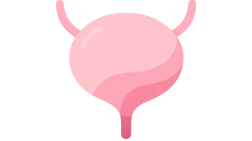 Urinary Incontinence: Classification