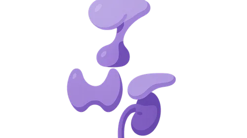 Hypothalamic-pituitary axis