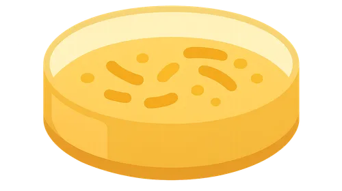 Bacterial culture methods