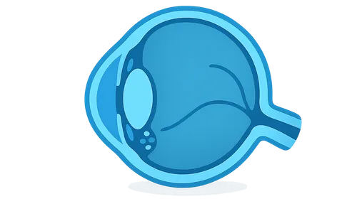Secondary Open-Angle Glaucomas