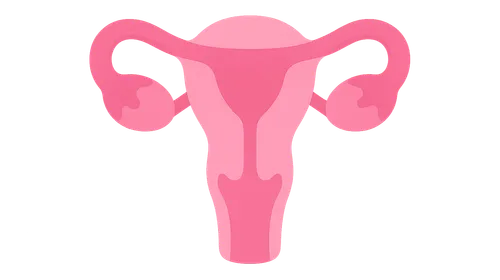 Uterine Factors