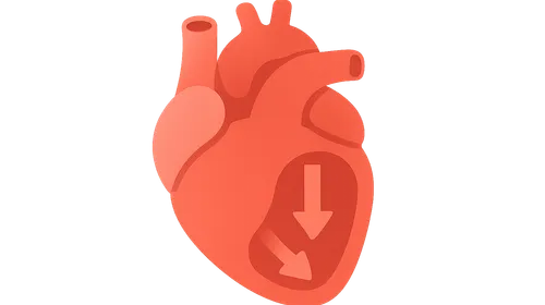Ventricular filling dynamics