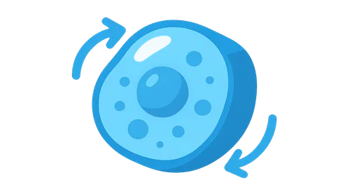 Cell Volume Regulation